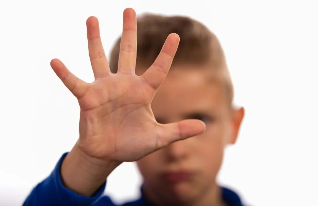 Criminal record checks for voluntary organisations