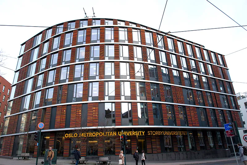 Forged certificate submitted as a 'joke' led to exclusion from higher education
